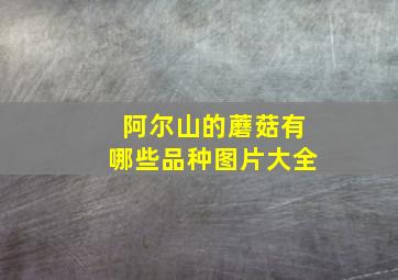 阿尔山的蘑菇有哪些品种图片大全