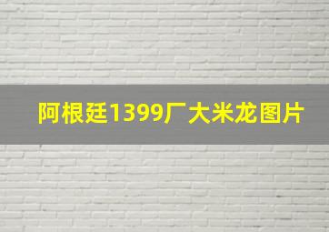 阿根廷1399厂大米龙图片