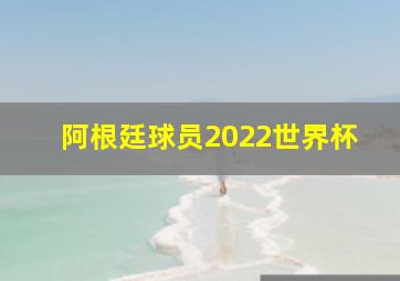 阿根廷球员2022世界杯