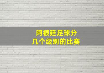 阿根廷足球分几个级别的比赛