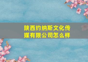 陕西约纳斯文化传媒有限公司怎么样