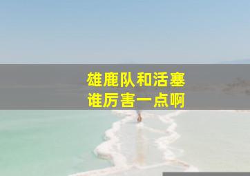 雄鹿队和活塞谁厉害一点啊