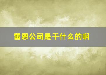 雷恩公司是干什么的啊