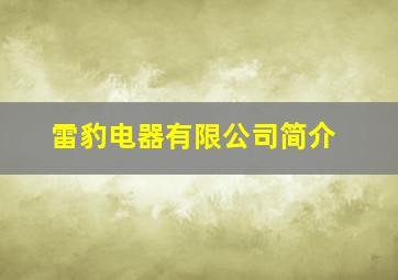 雷豹电器有限公司简介