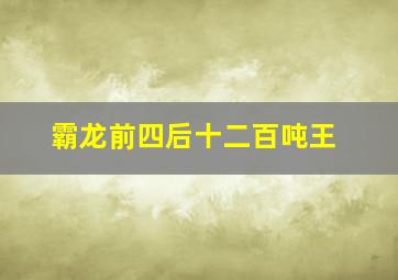 霸龙前四后十二百吨王