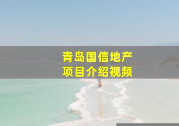 青岛国信地产项目介绍视频