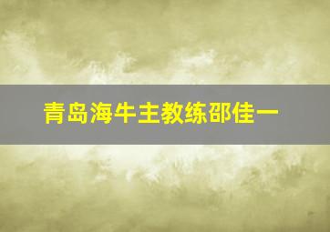 青岛海牛主教练邵佳一