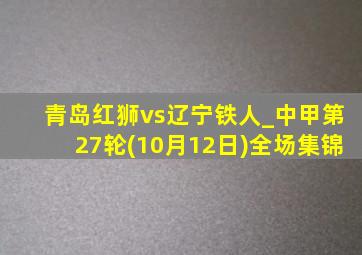 青岛红狮vs辽宁铁人_中甲第27轮(10月12日)全场集锦