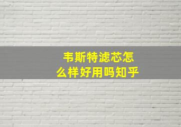 韦斯特滤芯怎么样好用吗知乎