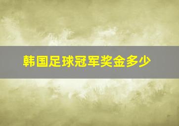 韩国足球冠军奖金多少