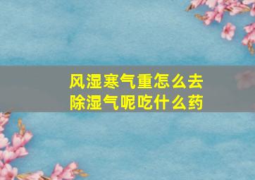 风湿寒气重怎么去除湿气呢吃什么药