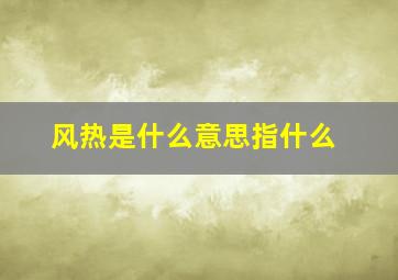 风热是什么意思指什么