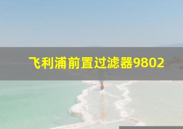 飞利浦前置过滤器9802