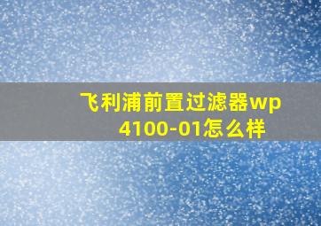 飞利浦前置过滤器wp4100-01怎么样