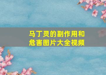 马丁灵的副作用和危害图片大全视频