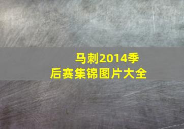 马刺2014季后赛集锦图片大全