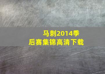 马刺2014季后赛集锦高清下载