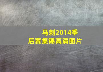 马刺2014季后赛集锦高清图片