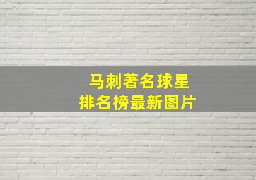 马刺著名球星排名榜最新图片