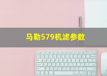 马勒579机滤参数