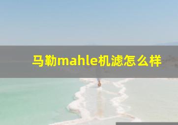 马勒mahle机滤怎么样