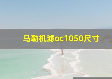 马勒机滤oc1050尺寸