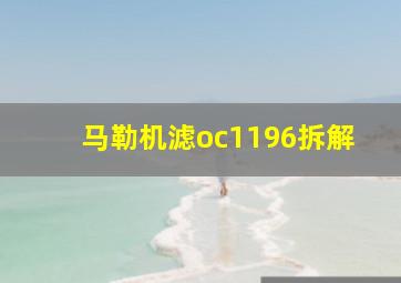 马勒机滤oc1196拆解