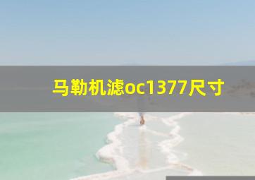 马勒机滤oc1377尺寸