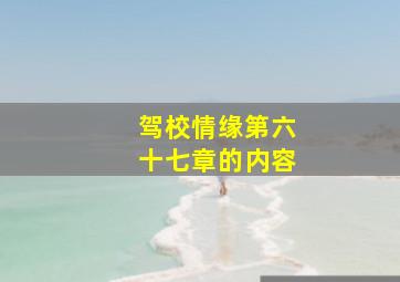 驾校情缘第六十七章的内容