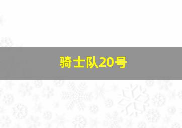 骑士队20号