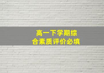 高一下学期综合素质评价必填