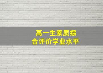 高一生素质综合评价学业水平