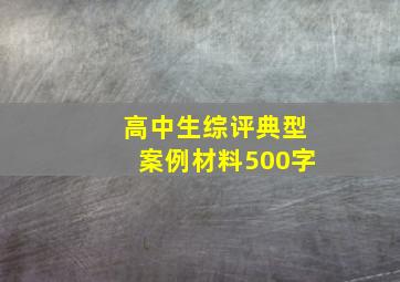 高中生综评典型案例材料500字