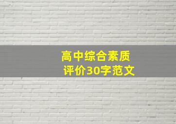 高中综合素质评价30字范文