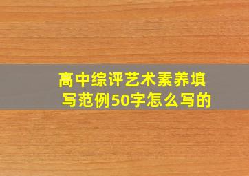 高中综评艺术素养填写范例50字怎么写的