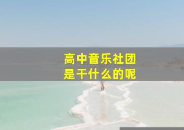 高中音乐社团是干什么的呢