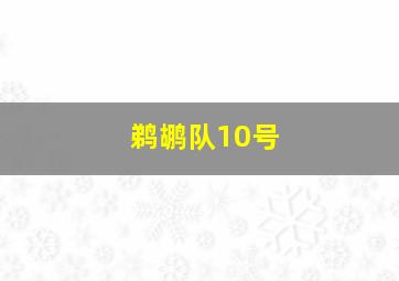 鹈鹕队10号