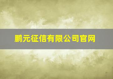 鹏元征信有限公司官网