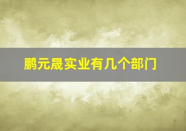 鹏元晟实业有几个部门