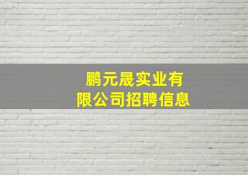 鹏元晟实业有限公司招聘信息