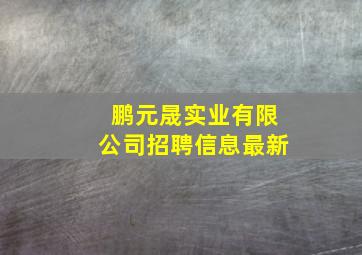 鹏元晟实业有限公司招聘信息最新