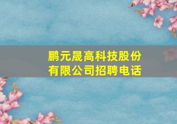 鹏元晟高科技股份有限公司招聘电话