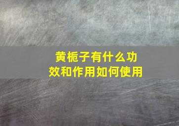 黄栀子有什么功效和作用如何使用