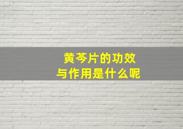 黄芩片的功效与作用是什么呢