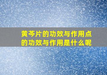 黄芩片的功效与作用点的功效与作用是什么呢