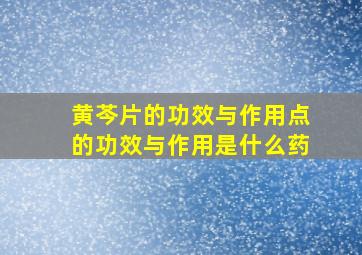 黄芩片的功效与作用点的功效与作用是什么药