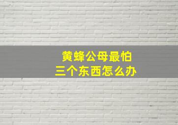 黄蜂公母最怕三个东西怎么办