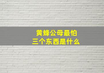 黄蜂公母最怕三个东西是什么