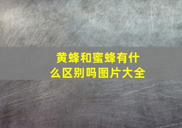 黄蜂和蜜蜂有什么区别吗图片大全