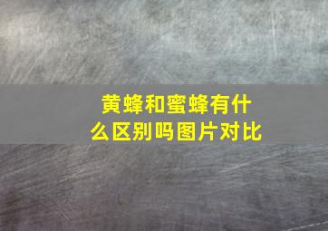 黄蜂和蜜蜂有什么区别吗图片对比